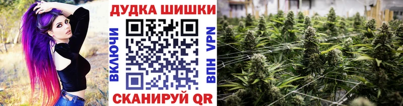 Где купить наркоту Абакан COCAIN  Псилоцибиновые грибы  Бошки Шишки  ГАШИШ 