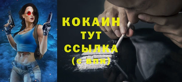 прущие грибы Верея