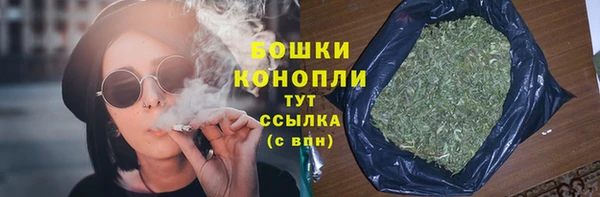 прущие грибы Верея