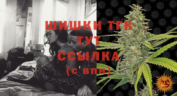 прущие грибы Верея