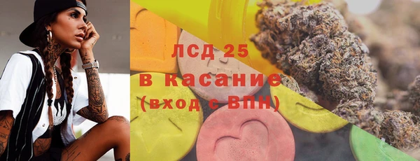 прущие грибы Верея