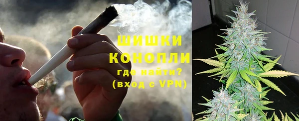 прущие грибы Верея