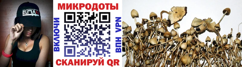 Псилоцибиновые грибы ЛСД  blacksprut маркетплейс  Абакан 